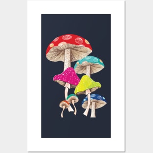 Magical Mushrooms Posters and Art